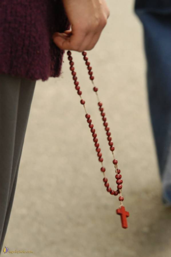 Nom de l'image : D1076902-01_(c)Norbert-JUNG — Description :